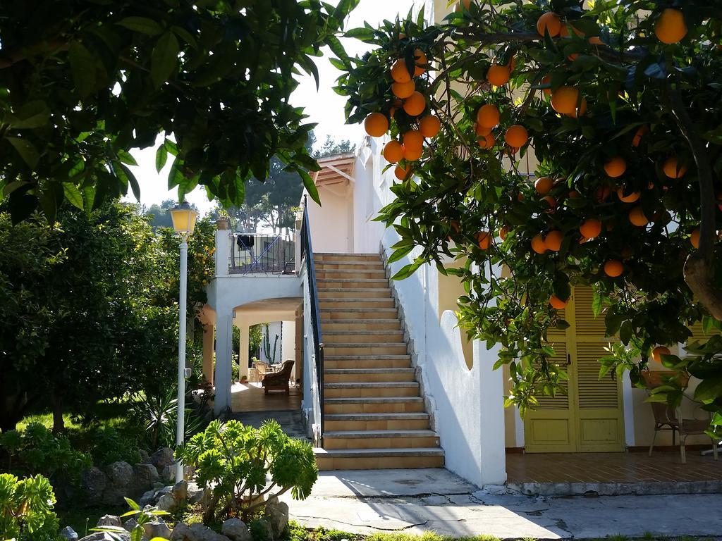 Amistad Hotel Peguera Exterior photo